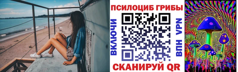 дарнет шоп  Серафимович  Псилоцибиновые грибы Psilocybine cubensis 